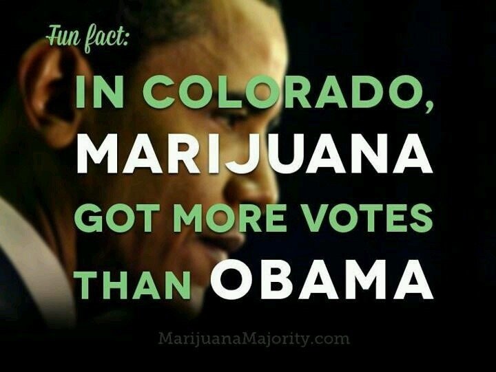 Buy Weed in Colorado