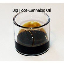 big-foot-cannabis-oil